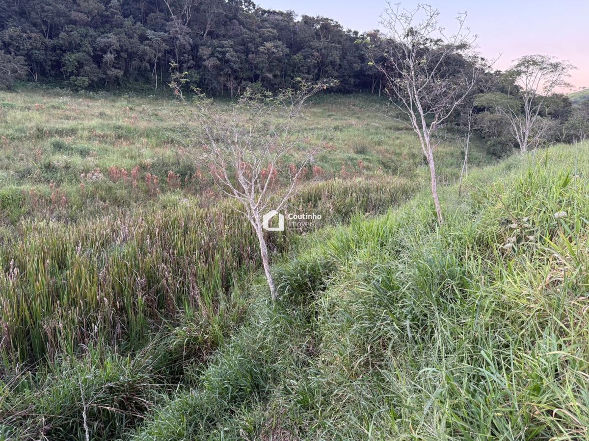 WhatsApp Image 2026-04-17 at 19.28.33 (2).jpeg